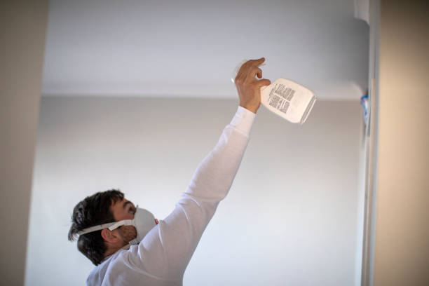 Best Mold Remediation for Schools in Little Round Lake, WI